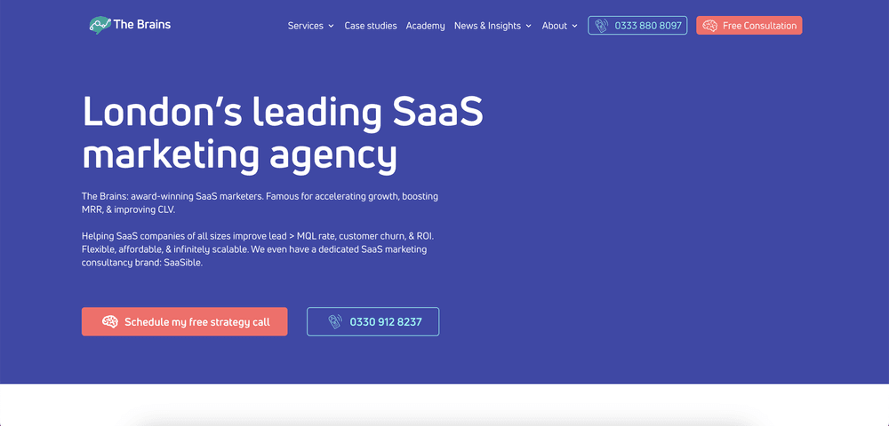 The Brains Top Paid Social Agencies for SaaS & Technology Brands