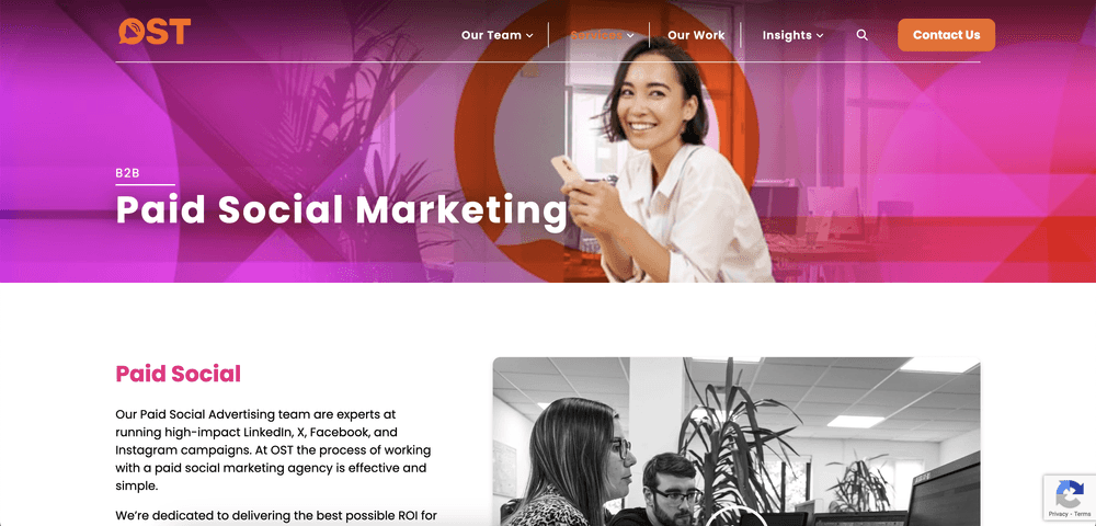 Ost Top Paid Social Agencies for B2B Brands