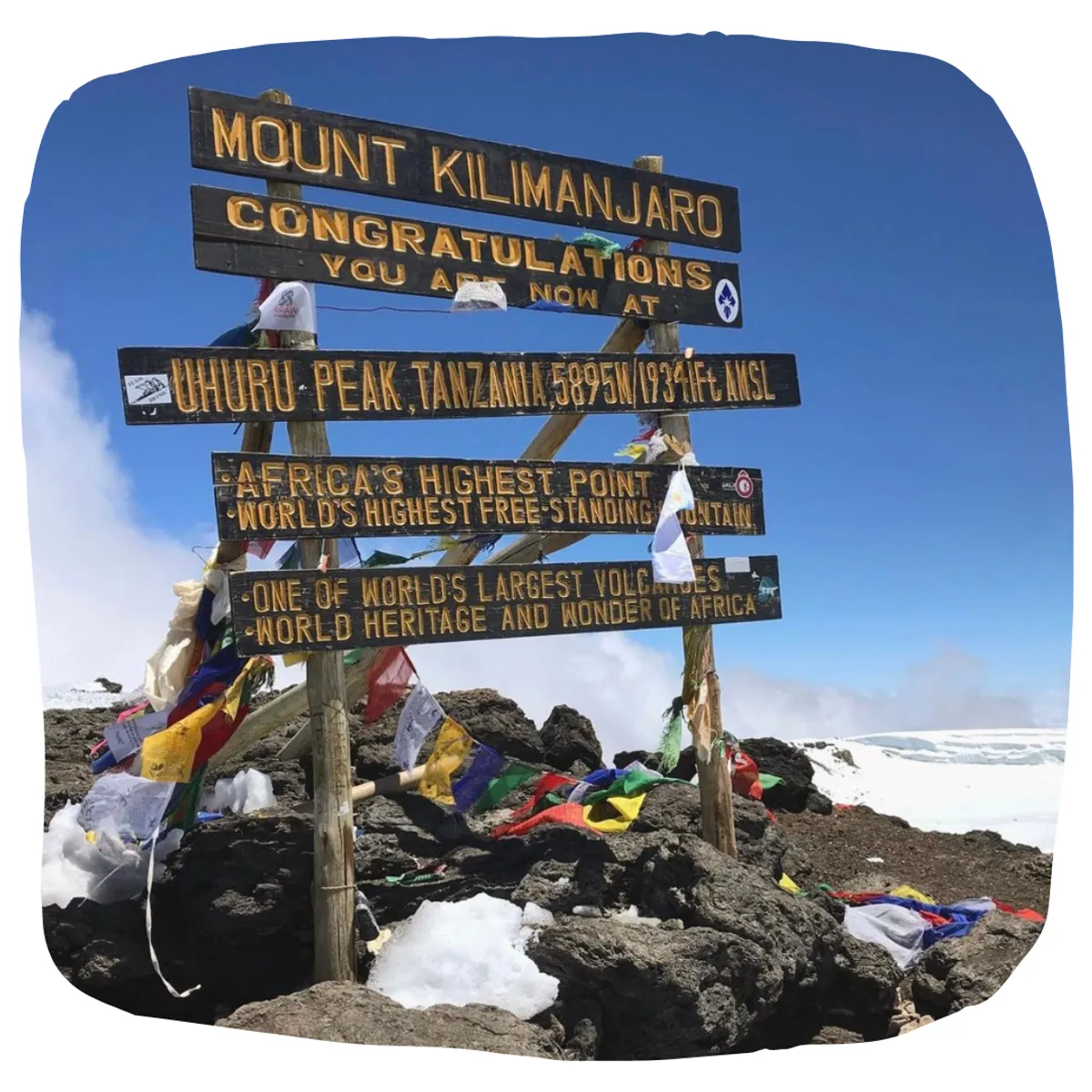 Choose a Challenge Case Study