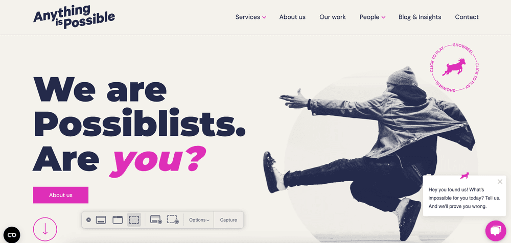 Anything Is Possible (Custard) Top Lead Generation PPC Agencies