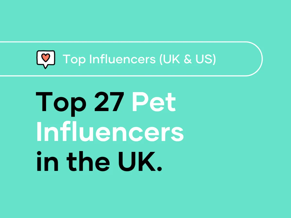 Top 27 Pet Influencers in the UK